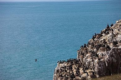 报告称育碧《不羁联盟》本周末举行新测试 暂定今夏发售
